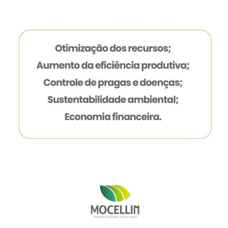 carrossel-03-02